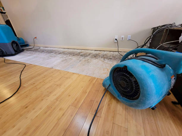 Professional Structural Drying technician working in Blooming Grove, TX